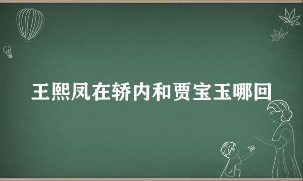 王熙凤在轿内和贾宝玉哪回