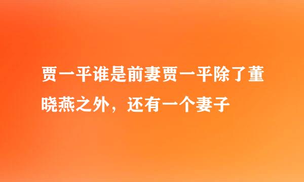 贾一平谁是前妻贾一平除了董晓燕之外，还有一个妻子