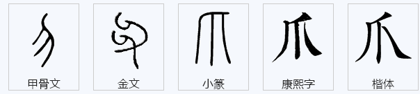 爪多音字可以组什么词？