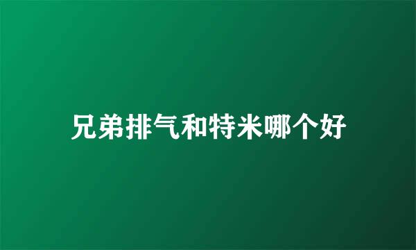 兄弟排气和特米哪个好