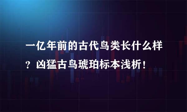 一亿年前的古代鸟类长什么样？凶猛古鸟琥珀标本浅析！