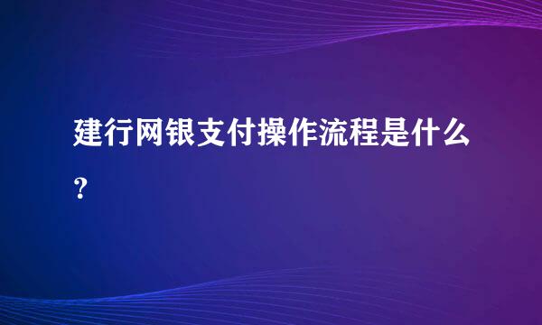 建行网银支付操作流程是什么？