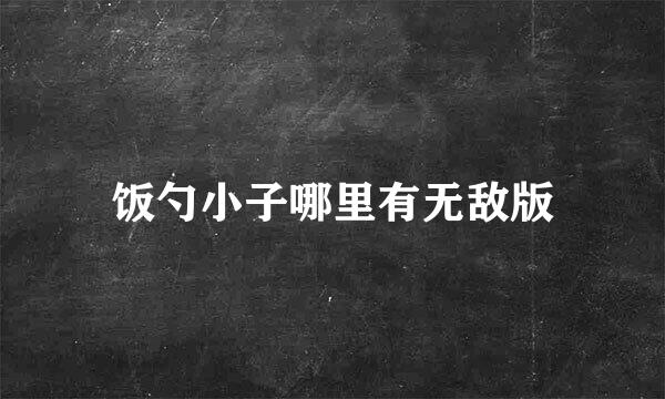 饭勺小子哪里有无敌版