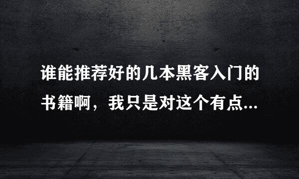 谁能推荐好的几本黑客入门的书籍啊，我只是对这个有点好奇，不拿来做坏事，平时没事的时候当个爱好学学