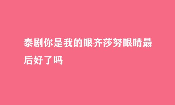 泰剧你是我的眼齐莎努眼睛最后好了吗