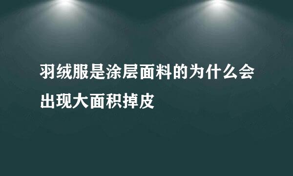 羽绒服是涂层面料的为什么会出现大面积掉皮