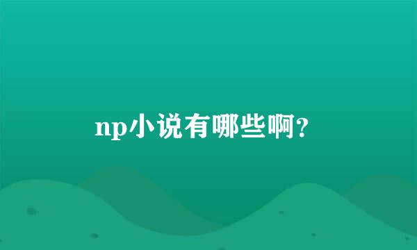 np小说有哪些啊？