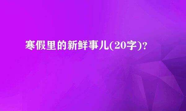 寒假里的新鲜事儿(20字)？