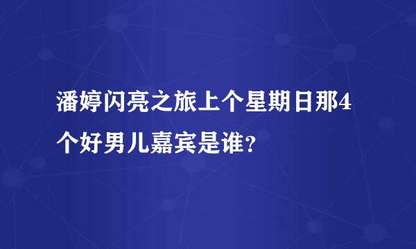 潘婷闪亮之旅上个星期日那4个好男儿嘉宾是谁？