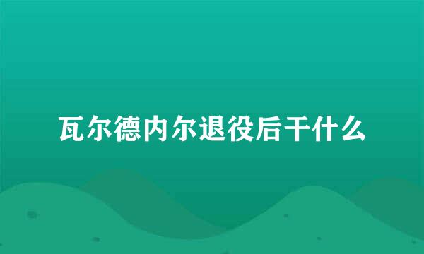 瓦尔德内尔退役后干什么