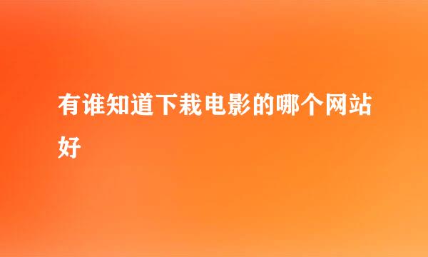 有谁知道下栽电影的哪个网站好