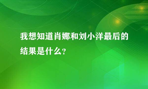 我想知道肖娜和刘小洋最后的结果是什么？