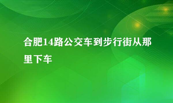 合肥14路公交车到步行街从那里下车