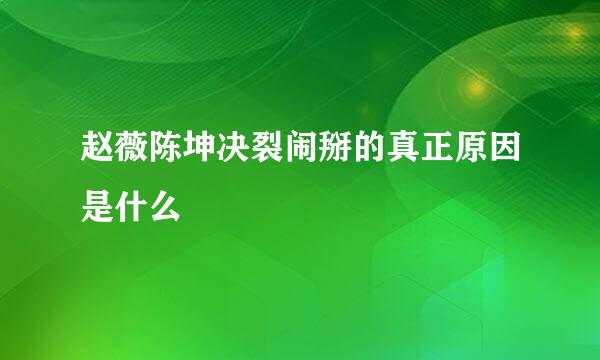 赵薇陈坤决裂闹掰的真正原因是什么