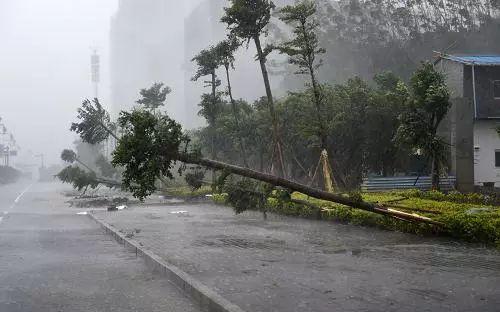 “梅花”今天将再登陆辽宁等多地将现大暴雨，哪些应急措施需要注意？