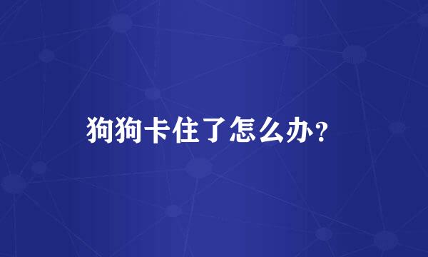 狗狗卡住了怎么办？