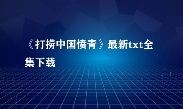 《打捞中国愤青》最新txt全集下载