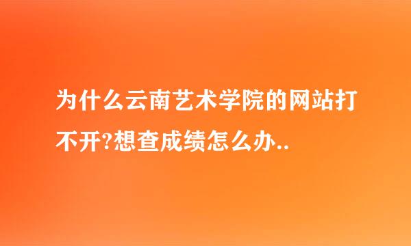 为什么云南艺术学院的网站打不开?想查成绩怎么办..