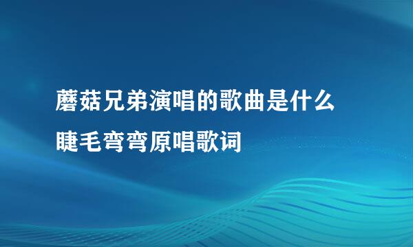 蘑菇兄弟演唱的歌曲是什么 睫毛弯弯原唱歌词