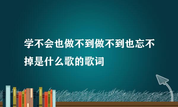 学不会也做不到做不到也忘不掉是什么歌的歌词