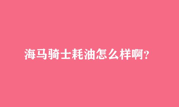 海马骑士耗油怎么样啊？