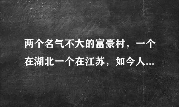 两个名气不大的富豪村，一个在湖北一个在江苏，如今人人有别墅