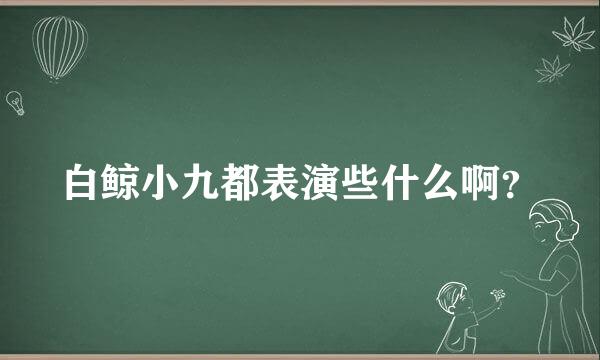 白鲸小九都表演些什么啊？