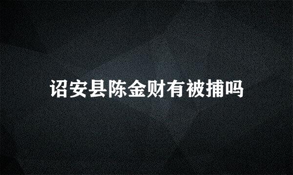 诏安县陈金财有被捕吗