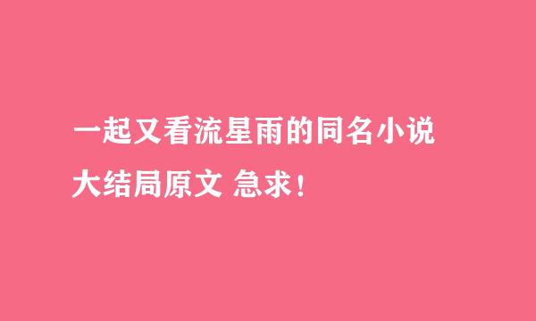 一起又看流星雨的同名小说 大结局原文 急求！