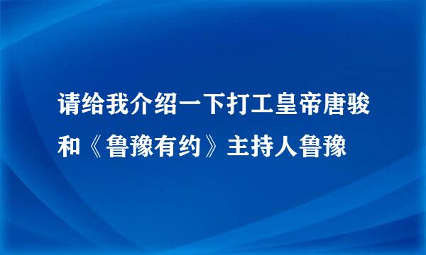 请给我介绍一下打工皇帝唐骏和《鲁豫有约》主持人鲁豫