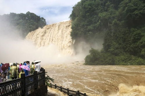 黄果树瀑布迎来今年最大水量，观景栈道被淹，游客该注意什么？