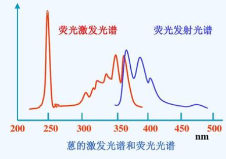 如何绘制激发光谱和荧光发射光谱？