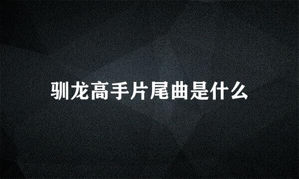 驯龙高手片尾曲是什么