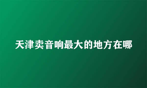 天津卖音响最大的地方在哪