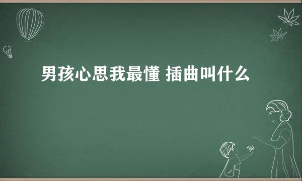 男孩心思我最懂 插曲叫什么