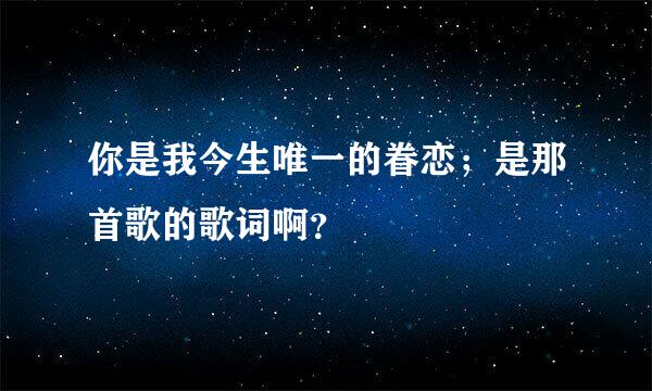 你是我今生唯一的眷恋；是那首歌的歌词啊？