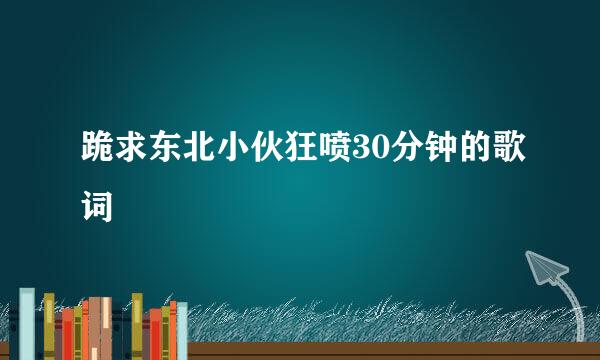 跪求东北小伙狂喷30分钟的歌词