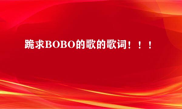 跪求BOBO的歌的歌词！！！