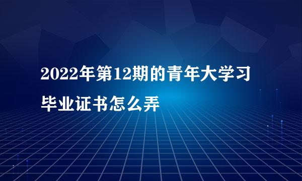 2022年第12期的青年大学习毕业证书怎么弄