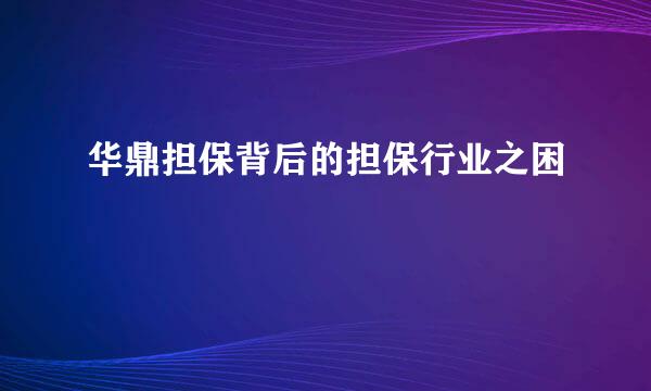 华鼎担保背后的担保行业之困