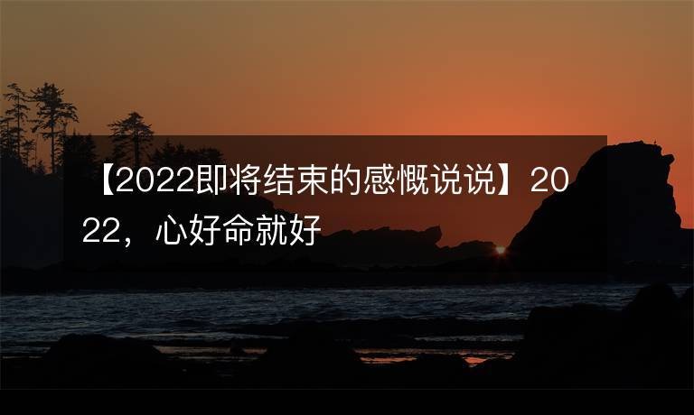 2022年的总结感悟说说