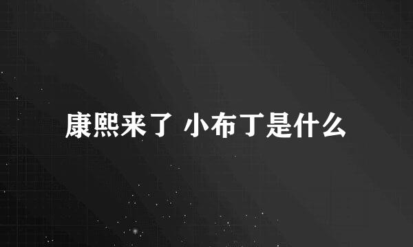 康熙来了 小布丁是什么