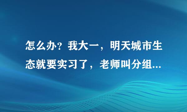 怎么办？我大一，明天城市生态就要实习了，老师叫分组，宿舍的没人要我，班里也没人愿意和我组队，怎么办