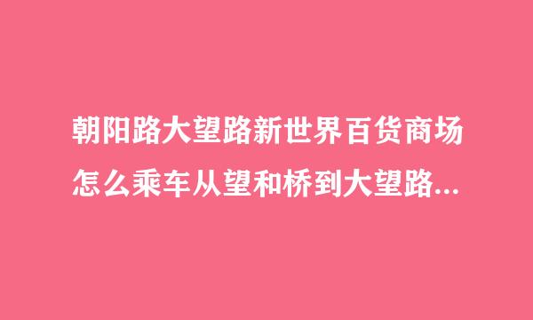 朝阳路大望路新世界百货商场怎么乘车从望和桥到大望路新世界百货？