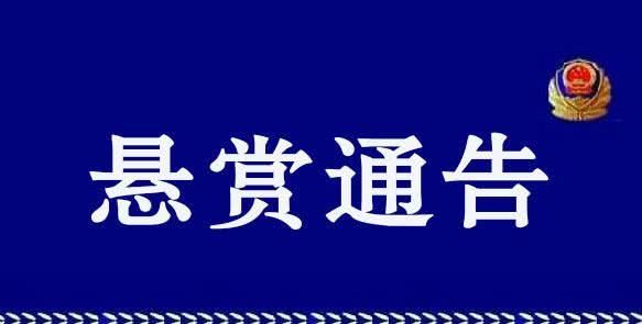 海南警方悬赏100万通缉2名涉黑逃犯，这两名逃犯做了什么？