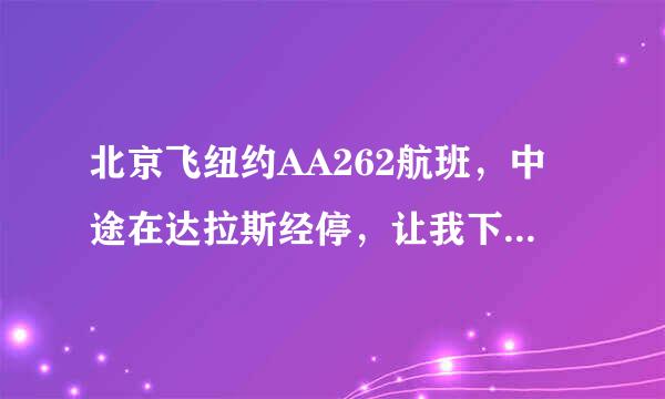 北京飞纽约AA262航班，中途在达拉斯经停，让我下了飞机，我需要去办什么手续吗，行李要拿吗