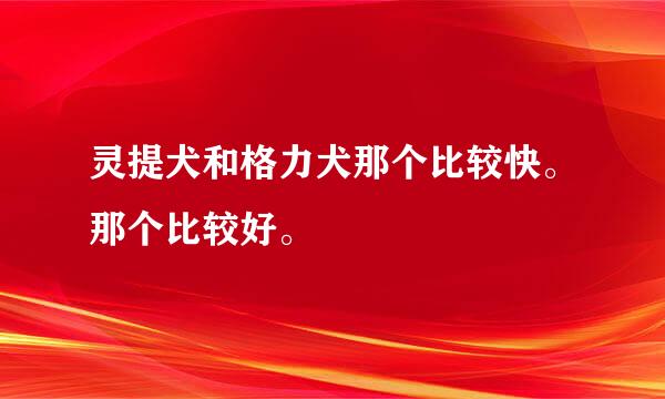 灵提犬和格力犬那个比较快。那个比较好。