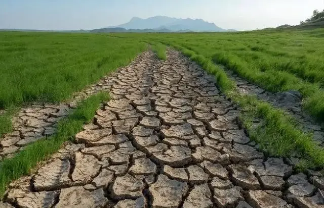 鄱阳湖1月间“缩水”近7成，河床变“草原”当地人开车飞驰，水都去哪了？