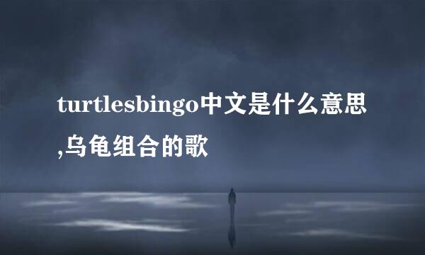 turtlesbingo中文是什么意思,乌龟组合的歌