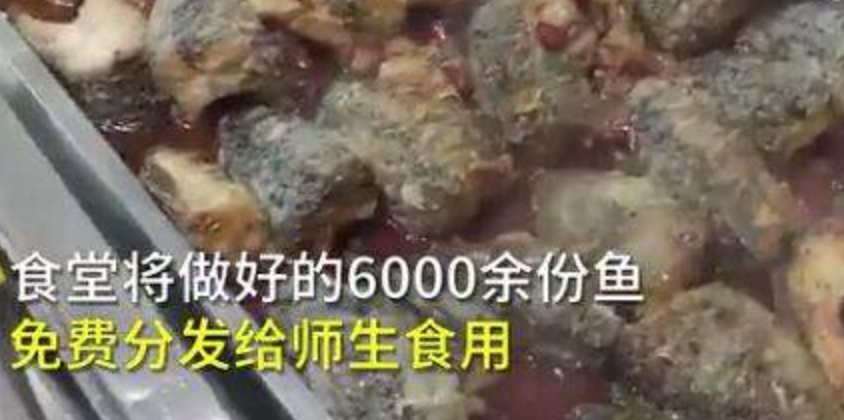 高校备6000份鱼请师生免费吃，你羡慕了吗？